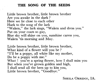 Song of the Seeds by Sheila Orridge